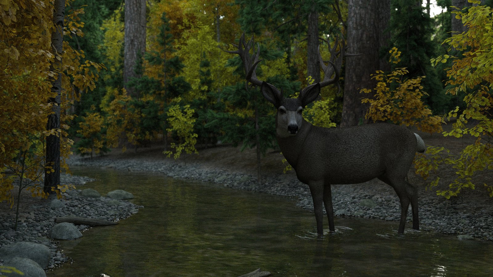 deer in the forest 2.jpg