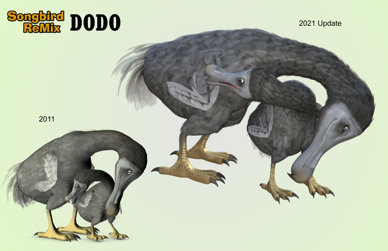 dodo4.jpg
