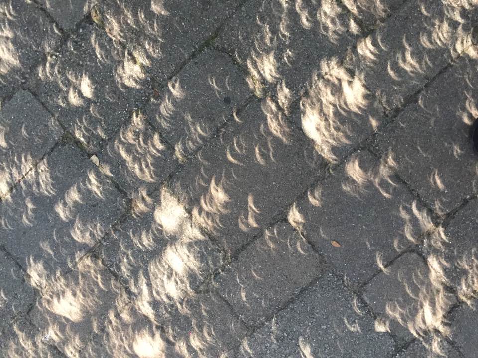 eclipseshadows.jpg