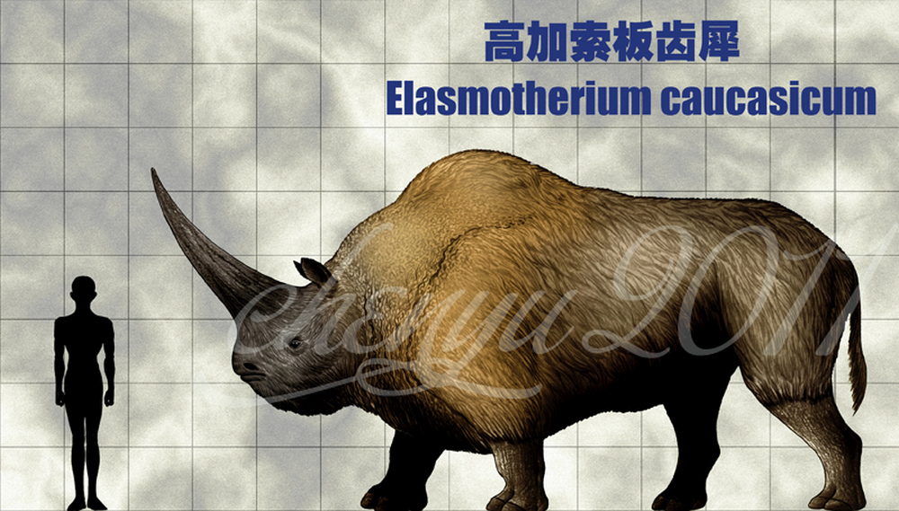 elasmotherium_caucasicum_by_sinammonite-d2b5iqm_large.jpg