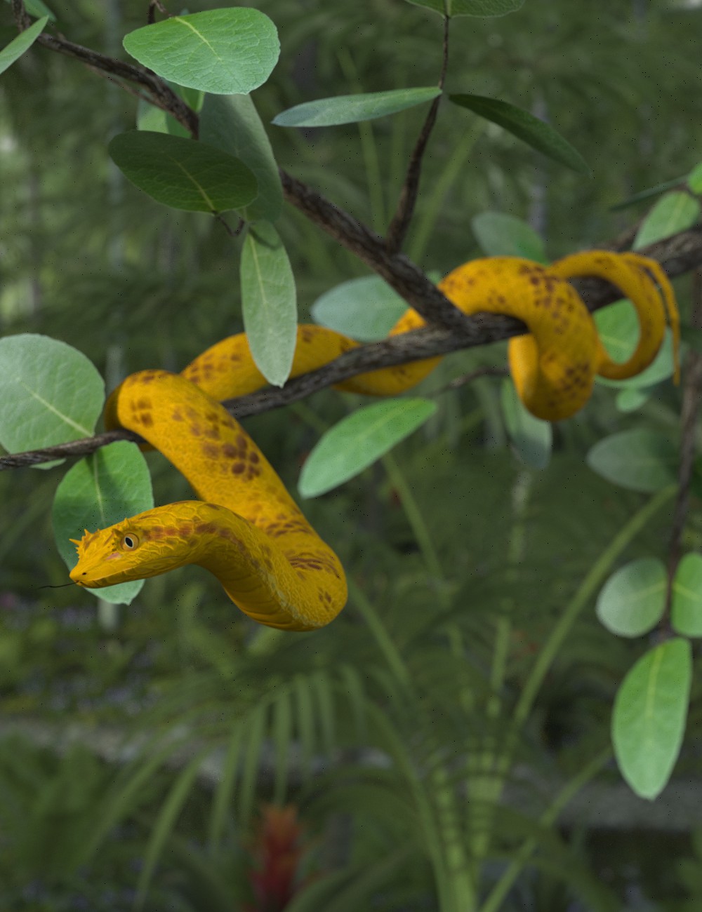 Eyelash Pit Viper Main.jpg