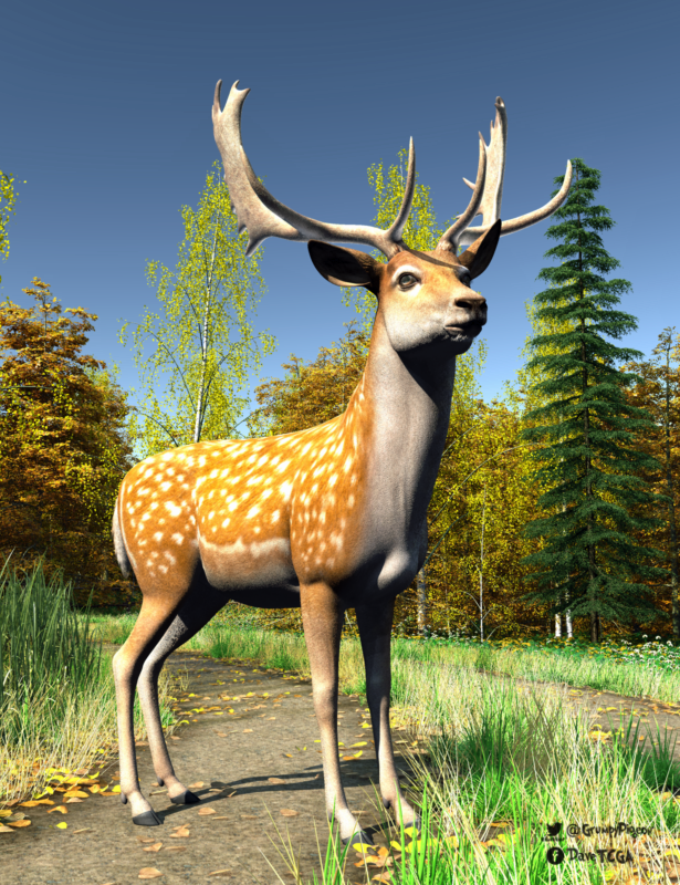 Fallow Deer on track.png