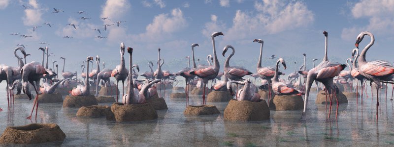 Flamingos of the Great Rift Valley lg.jpg