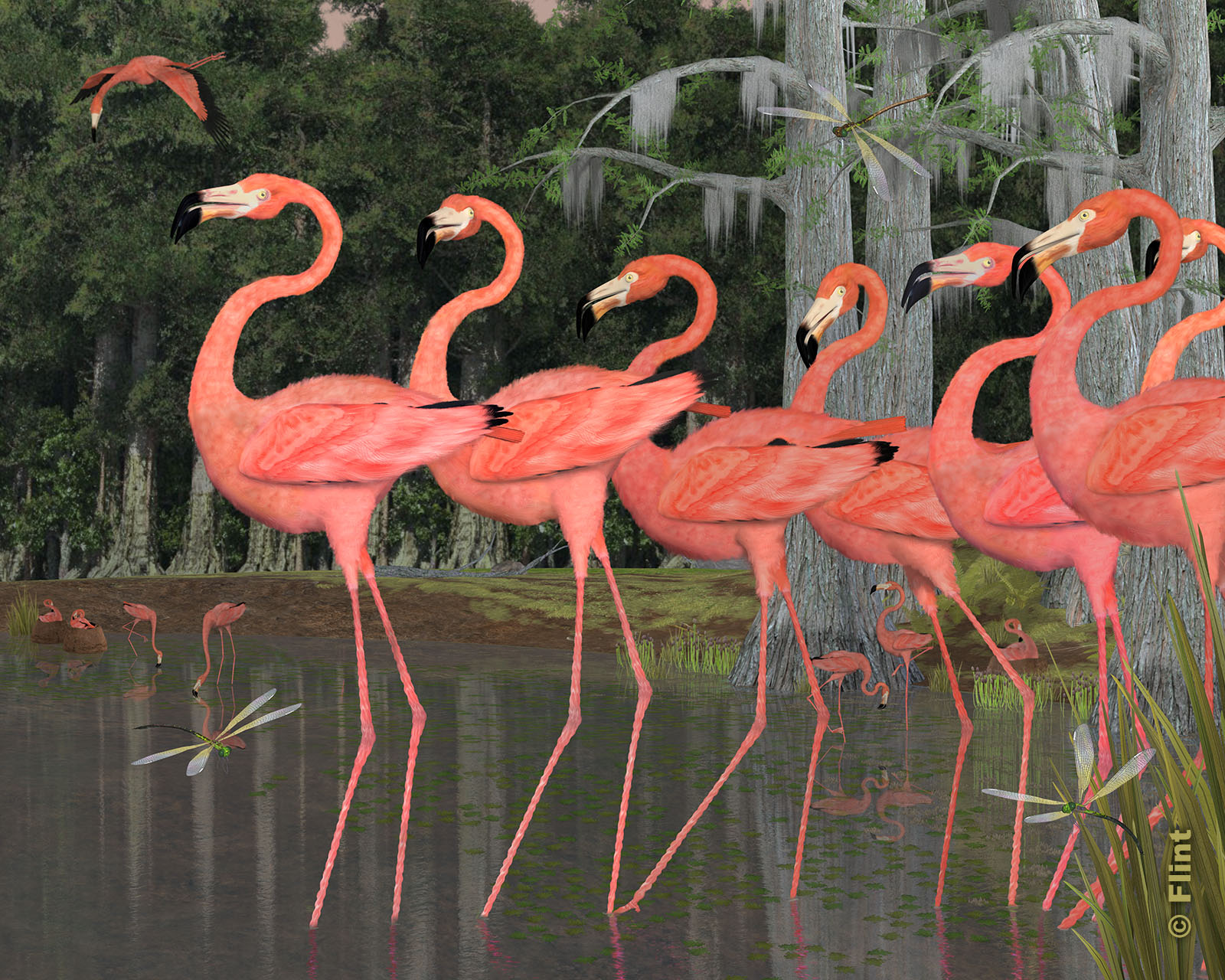 Flamingos on Parade.jpg