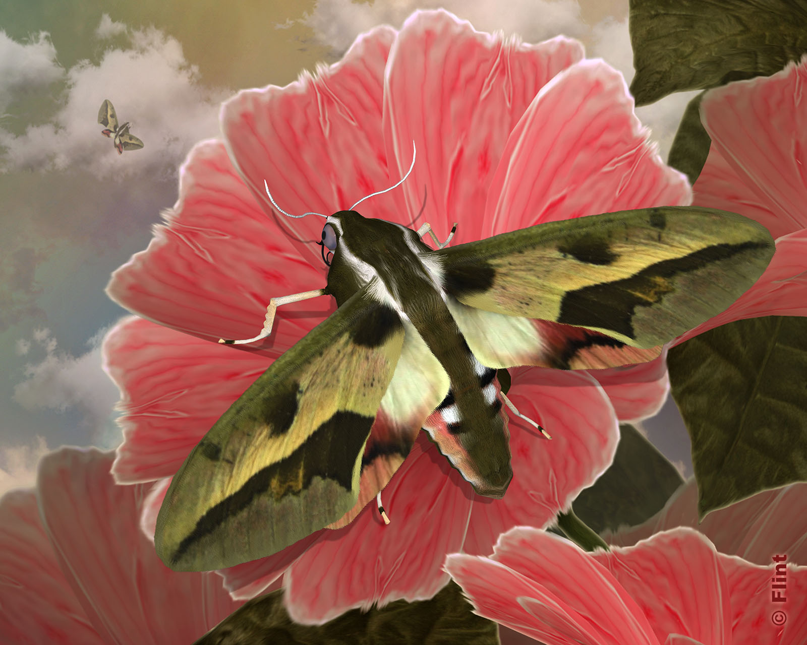 Floral Memories.jpg