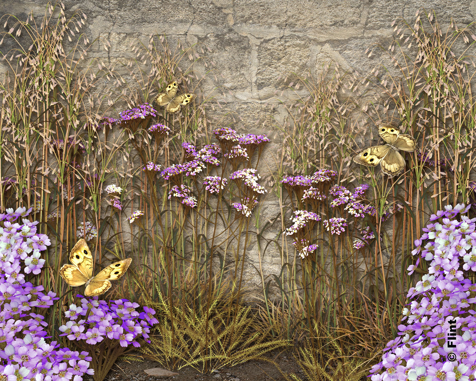 Fluttering On Fragile Wings.jpg