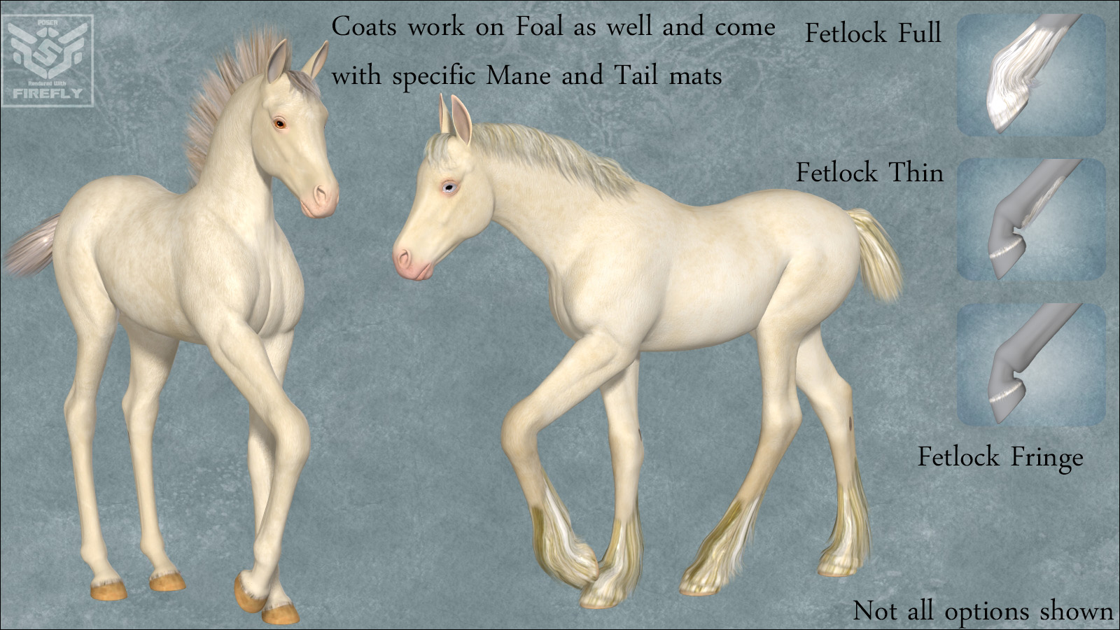 Foals.jpg