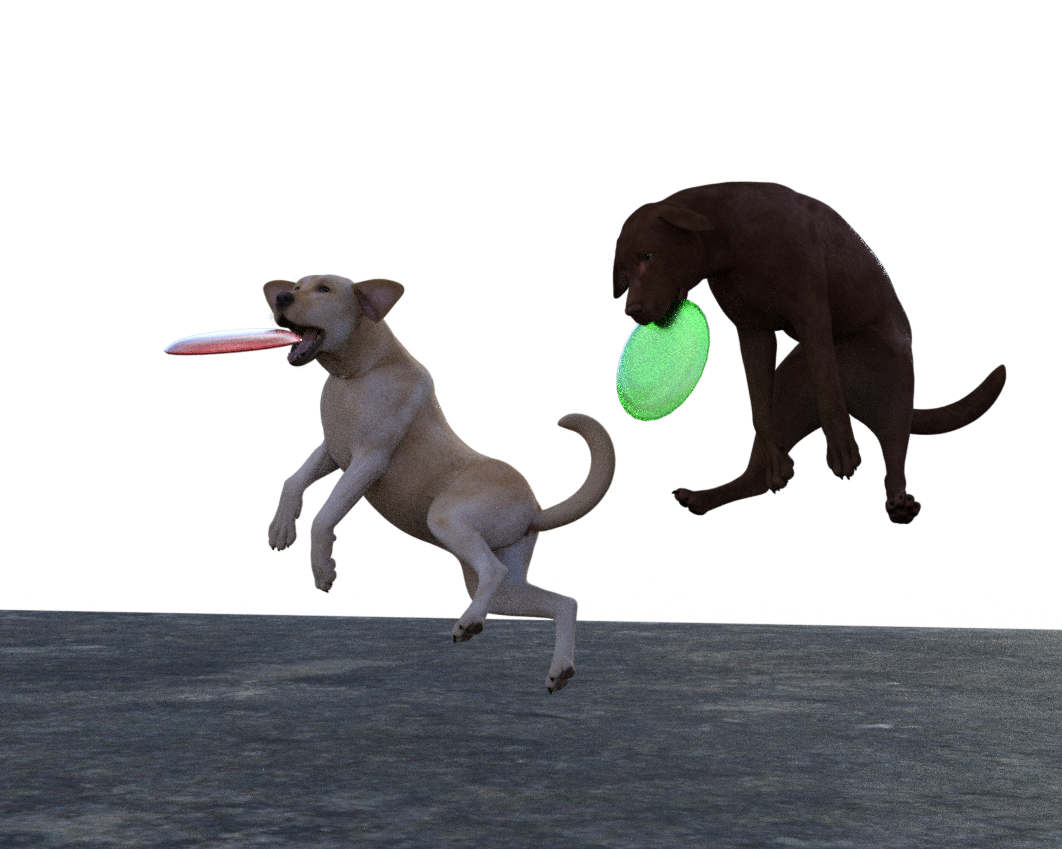 frisbee action.png