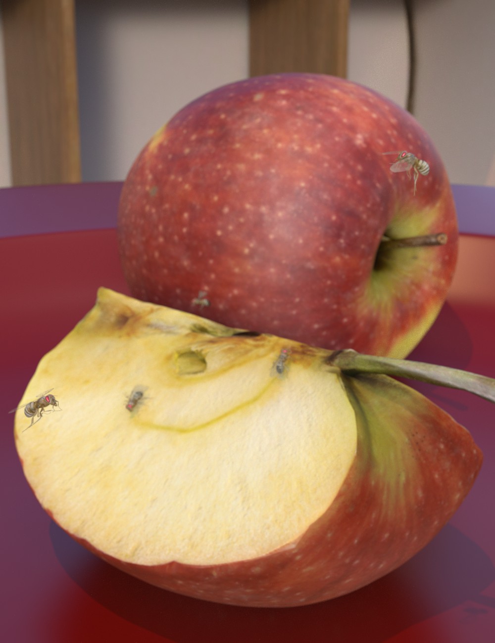 Fruit Flies on Apple.jpg