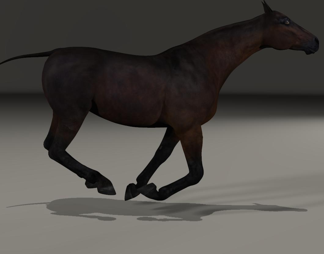 gallop.jpg