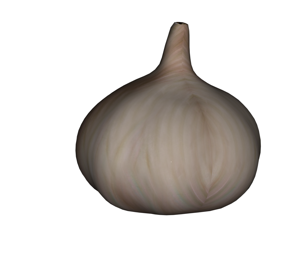 Garlic2.png