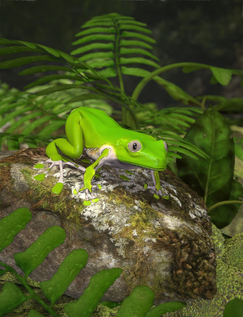 Giant_Monkey_Frog.jpg