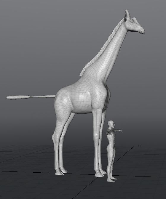 GiraffeWork38.JPG