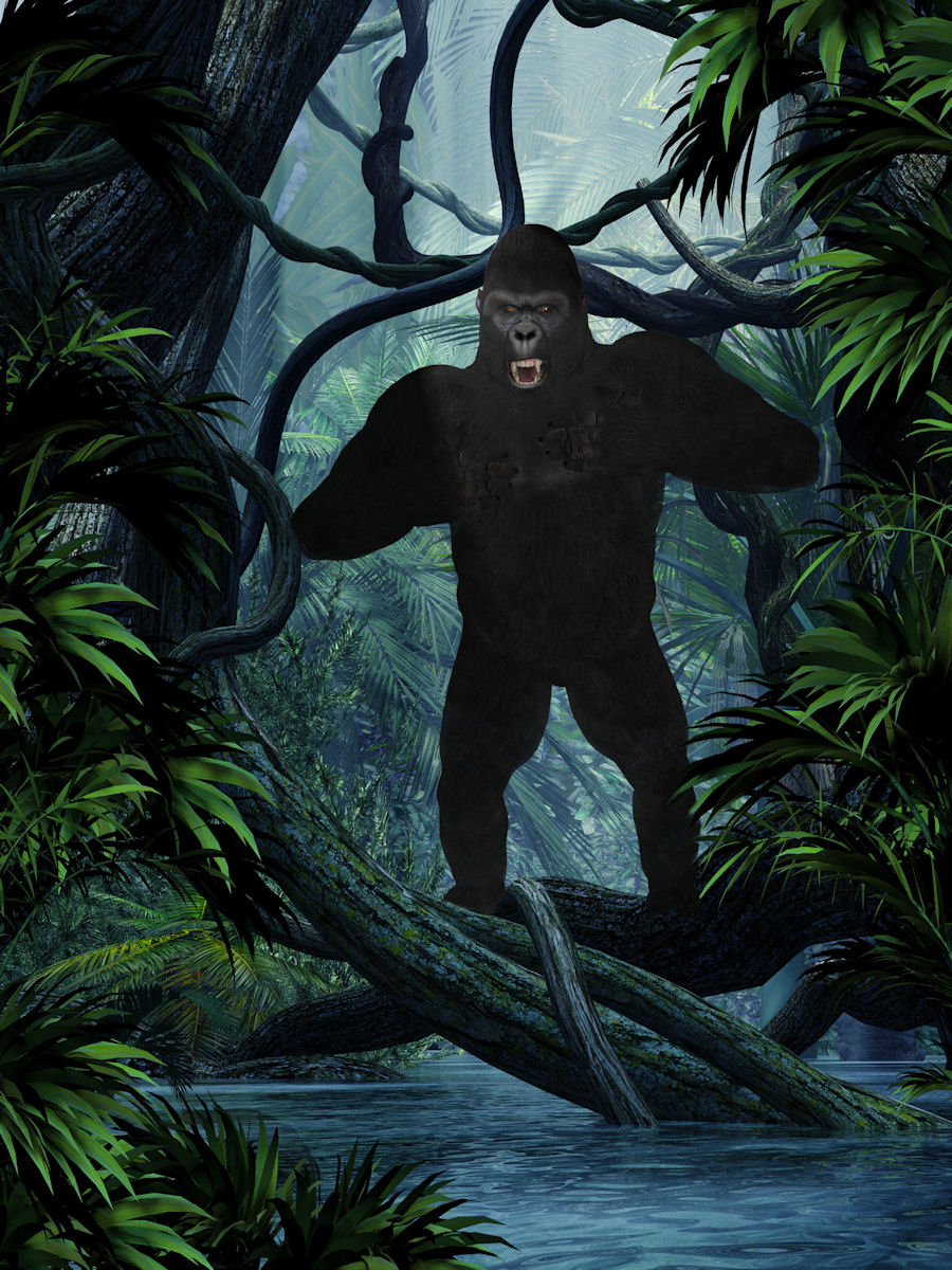 Gorilla.jpg
