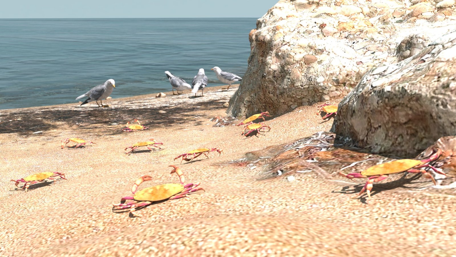 Graceful Crab Migration.jpg