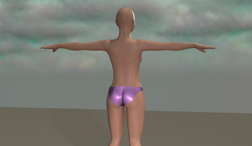 Gracie backside.png