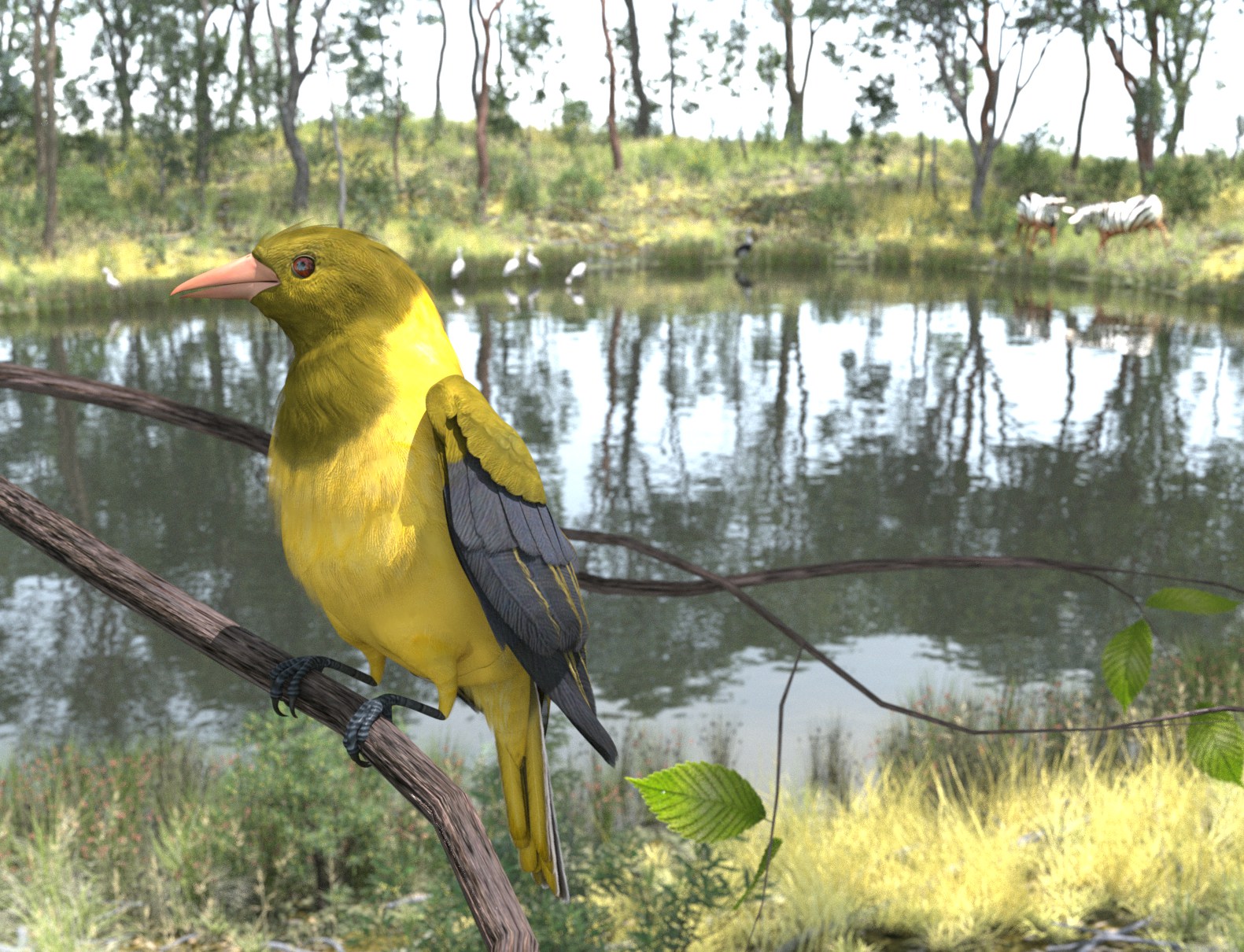 green-headed Oriole.jpg