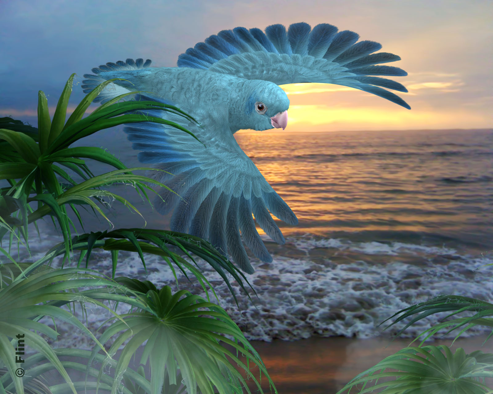 Greeting the Sun.jpg