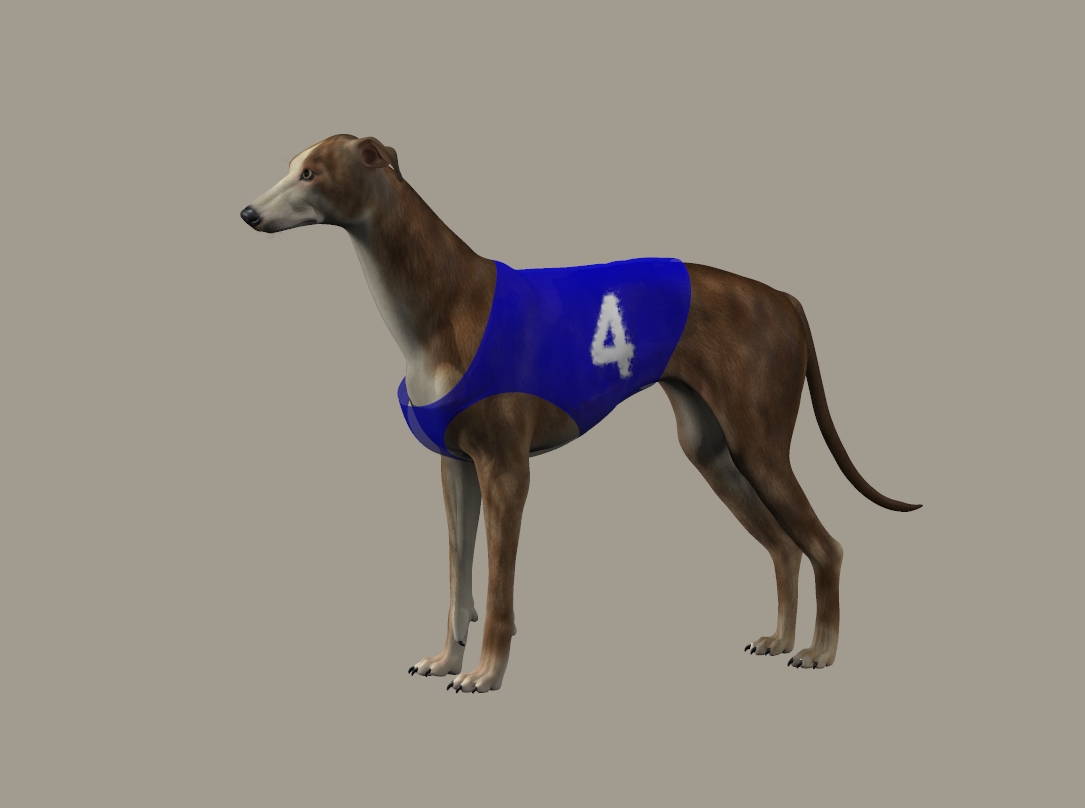 Greyhound vest Pic.jpg