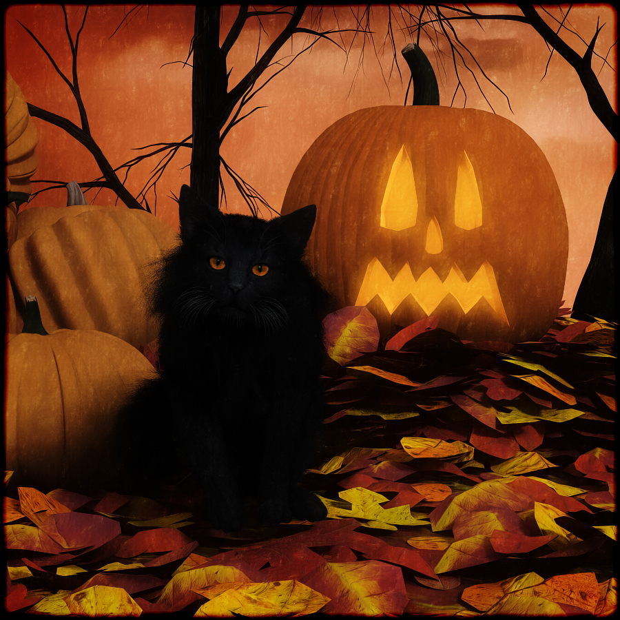 Halloween_Black_Cat_900x900.jpg