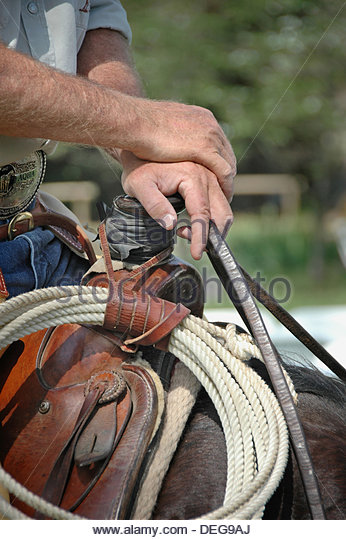 hands-of-a-cowboy-on-saddle-horn-with-his-ropes-before-the-roundup-deg9aj.jpg