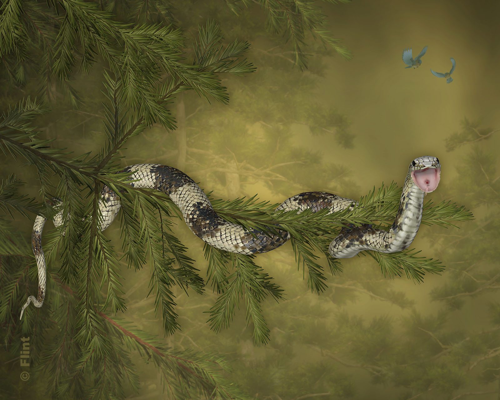 Hanging Out.jpg