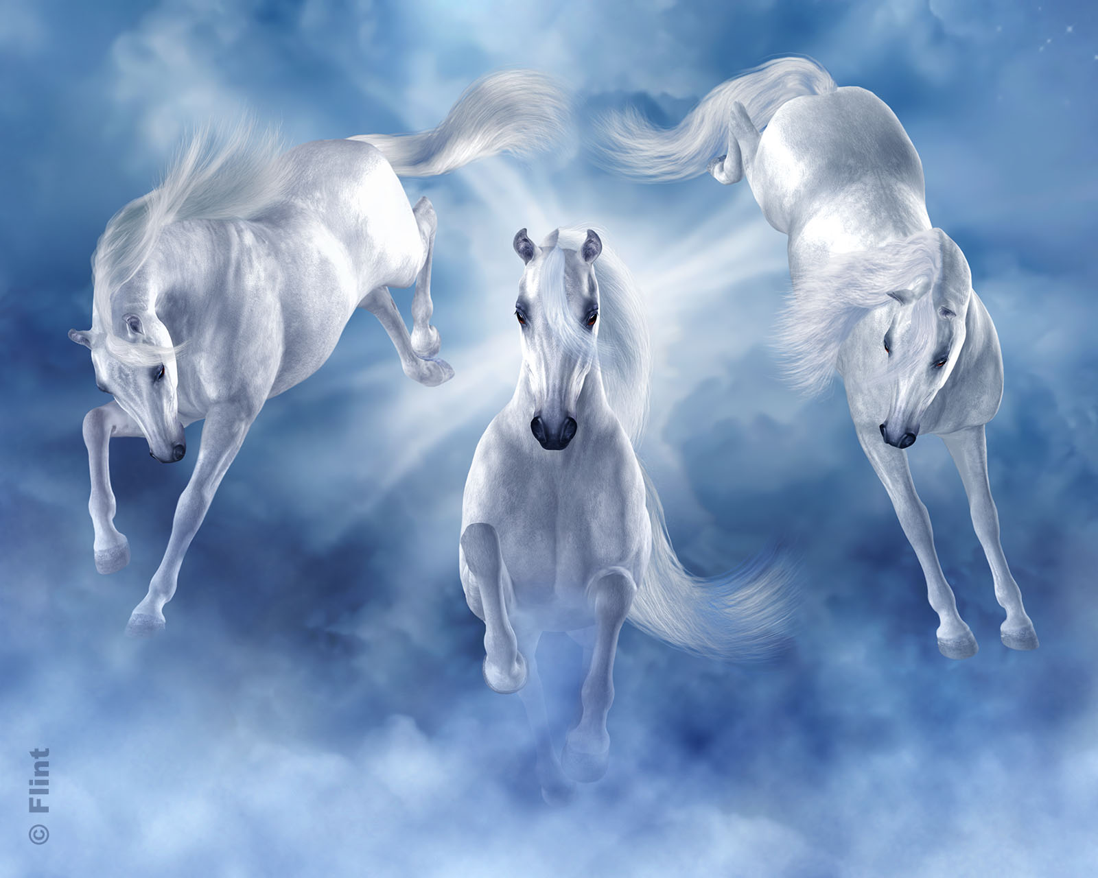 Heavenly Horses.jpg