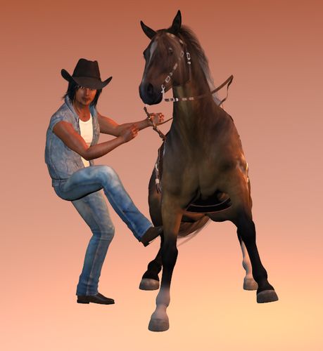 HH ROPING STOP.jpg