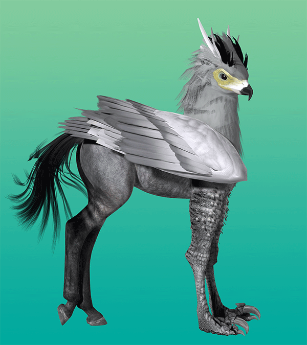 Hippogryff.png