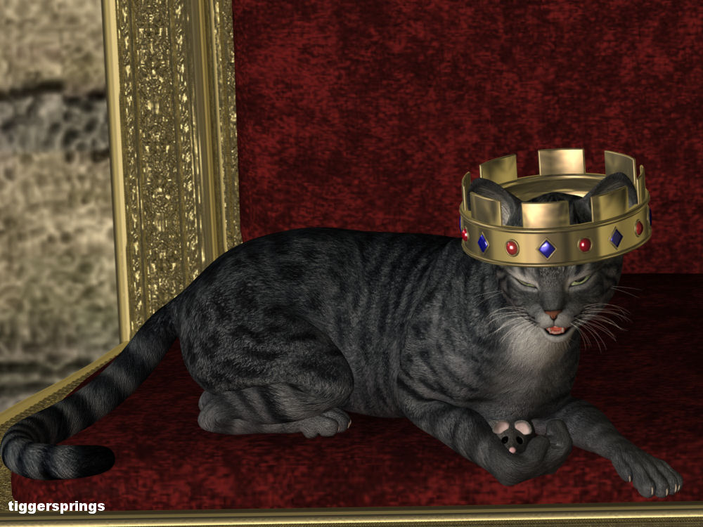 Hivewire-Cat-Crown--TS.jpg