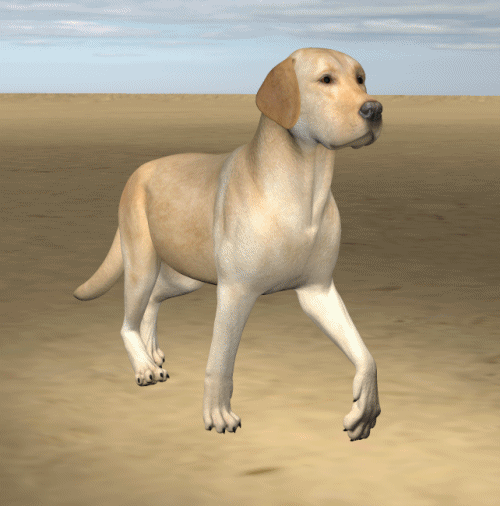 HIVEWIRE DOG --- ANIMATION TEST ver2.gif
