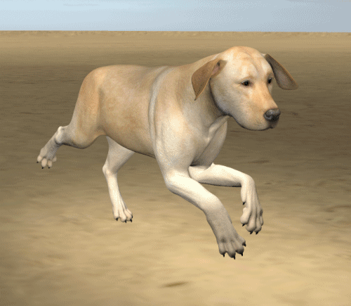 HIVEWIRE DOG - ANIMATION TEST -- ver3fix.gif