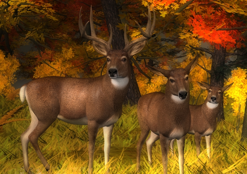 Hivewire Whitetail Deer - PDHowler.jpg
