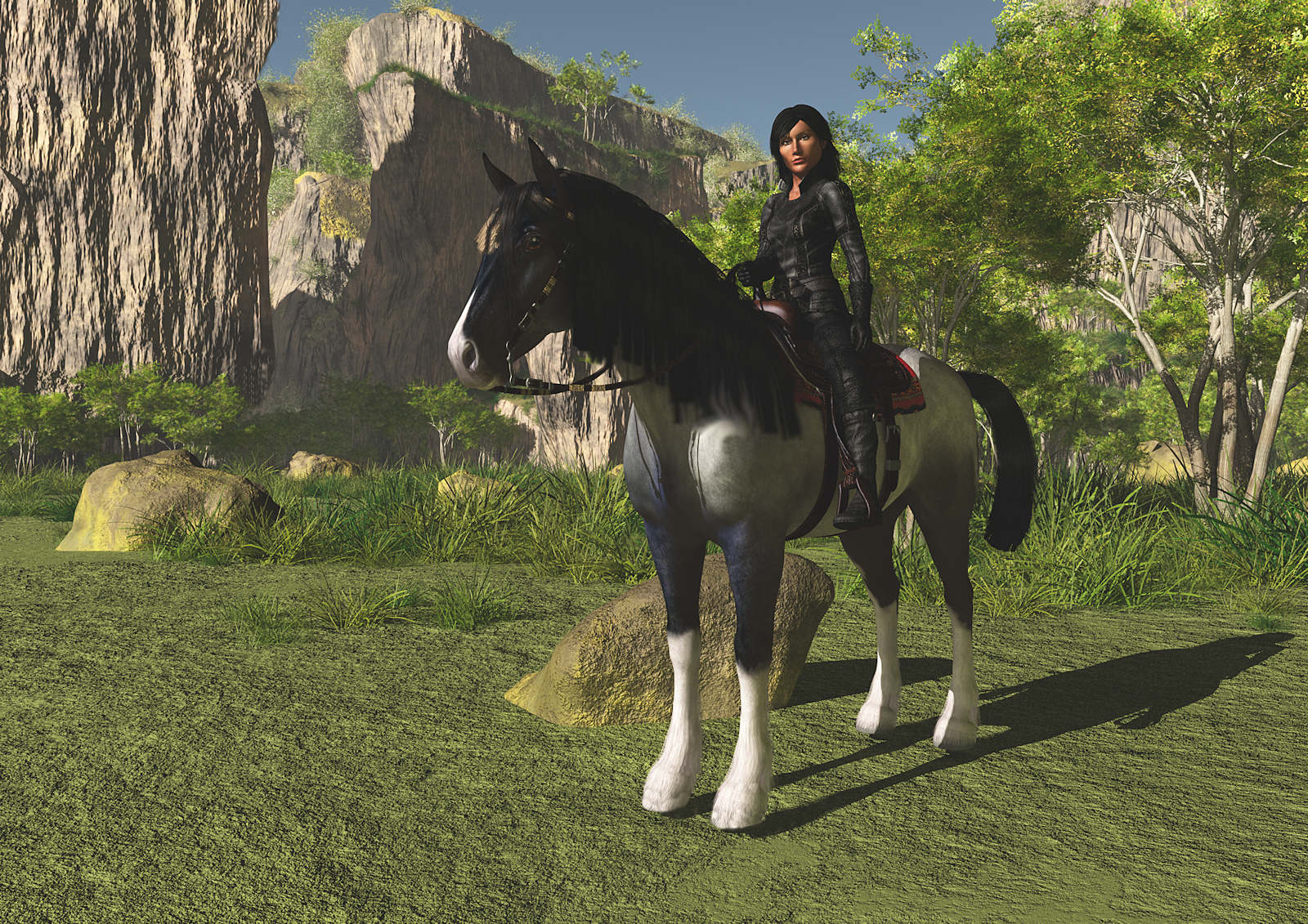 Horse and Rider Vue Test j.jpg