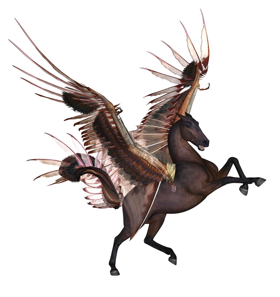 Horse Wings2323 copy.jpg