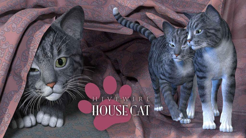 housecat01.jpg