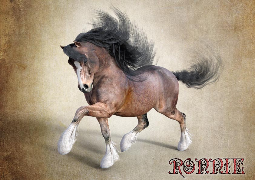 HW-Horse-Ronnie-001.jpg