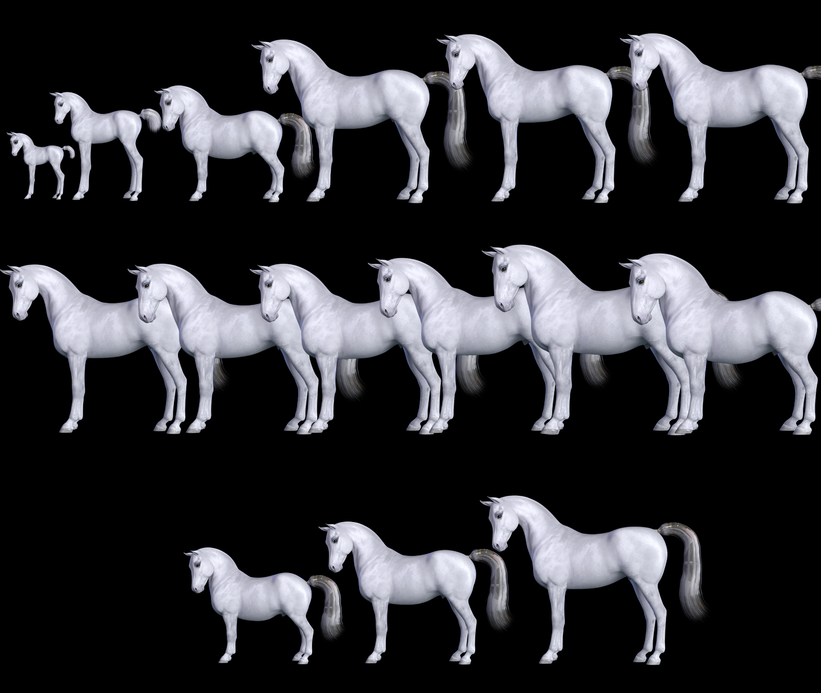 HW horse shapes.jpg