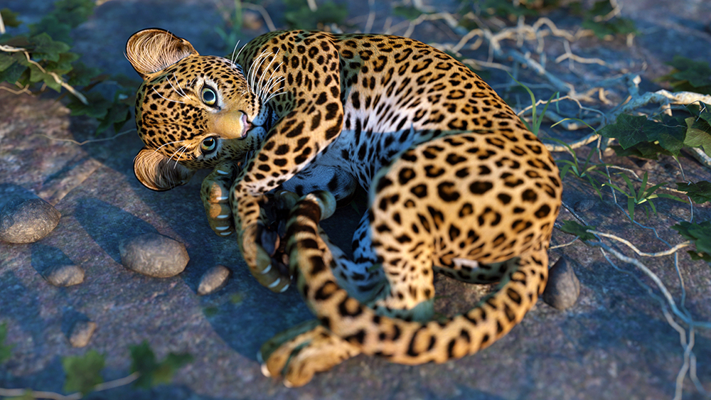 HW Leopard Cub3.jpg