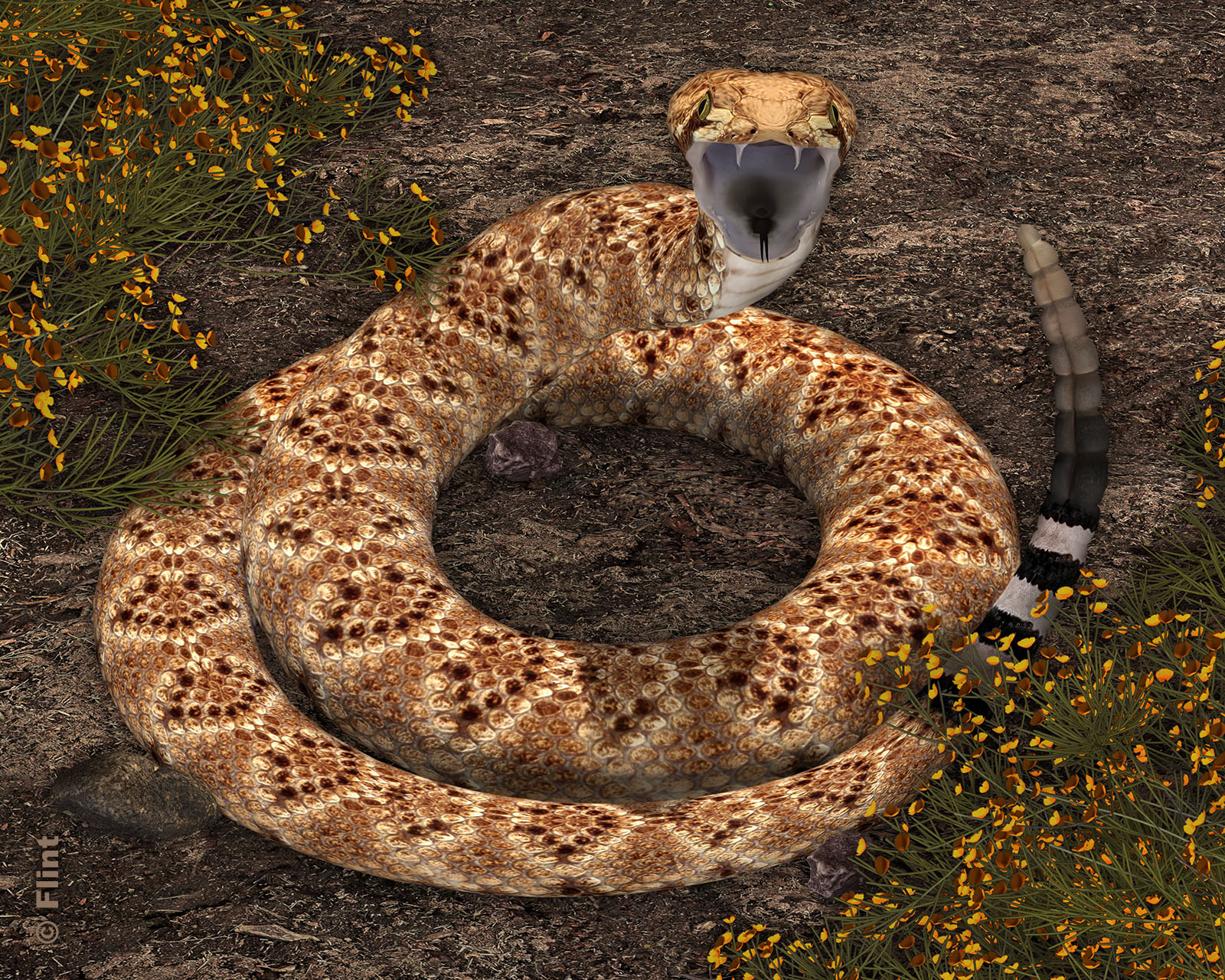 I Warned You.jpg
