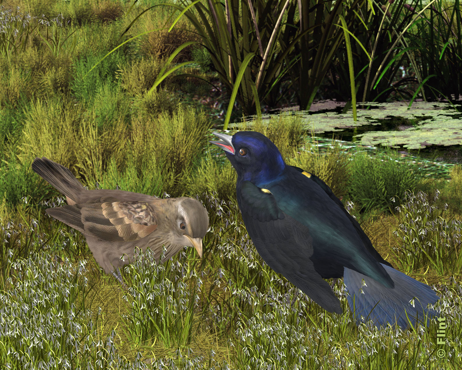 In the Marshland.jpg