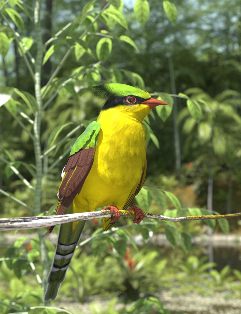 Indochinese Green-Magpie.jpg