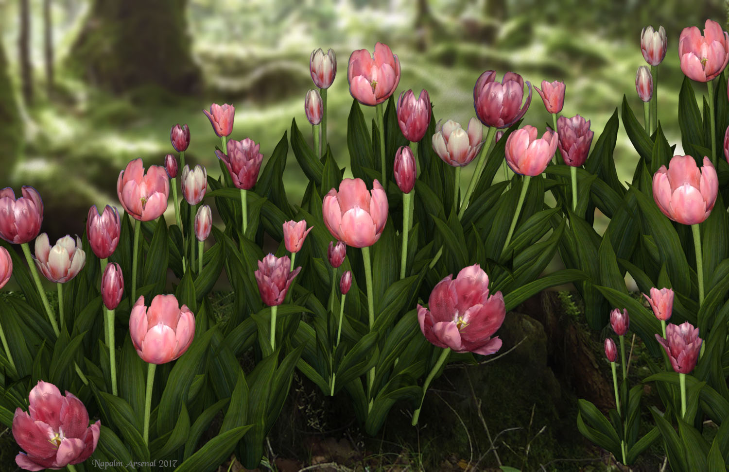 Iray Tulips8 copy.jpg