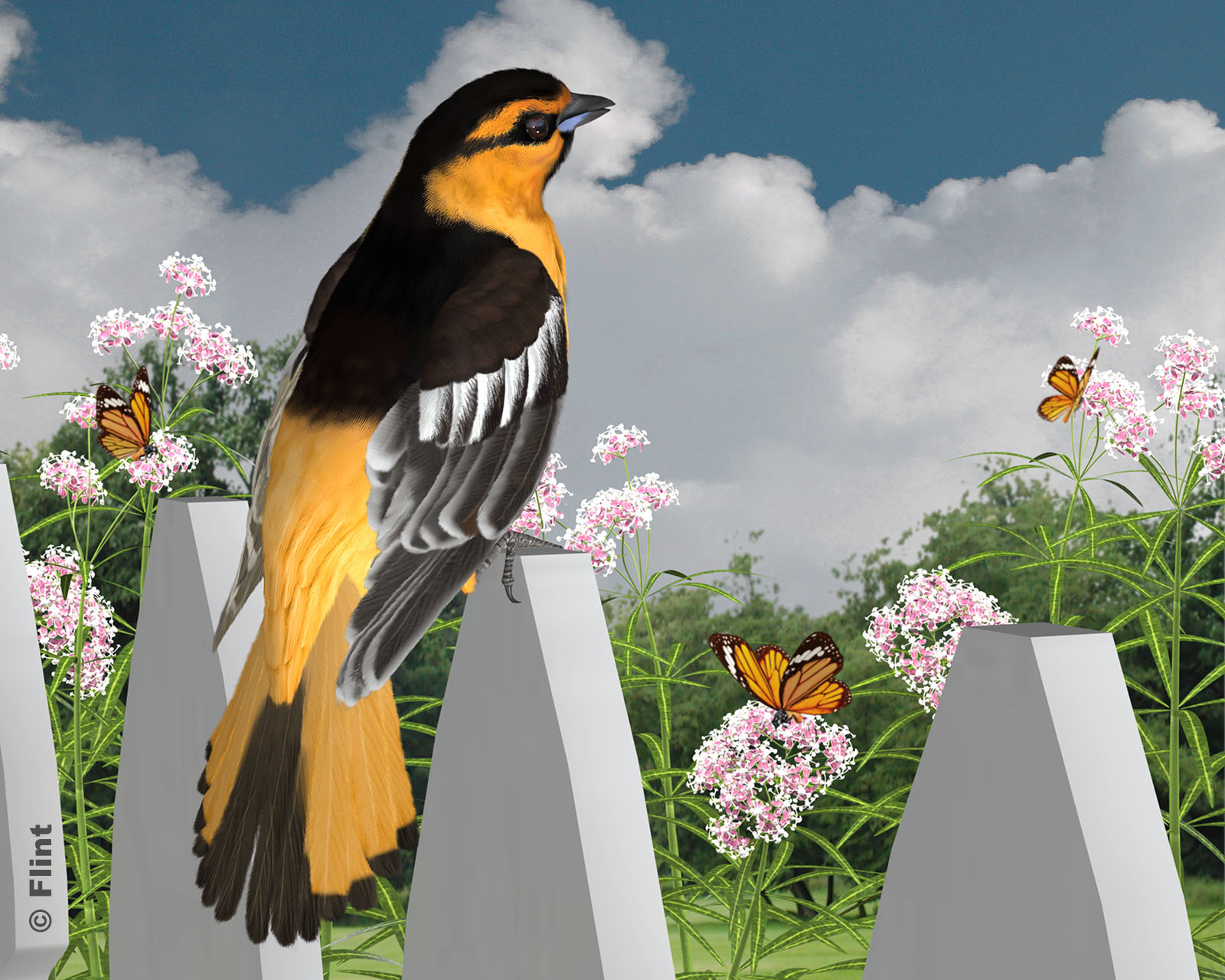 It Looks Like Spring.jpg