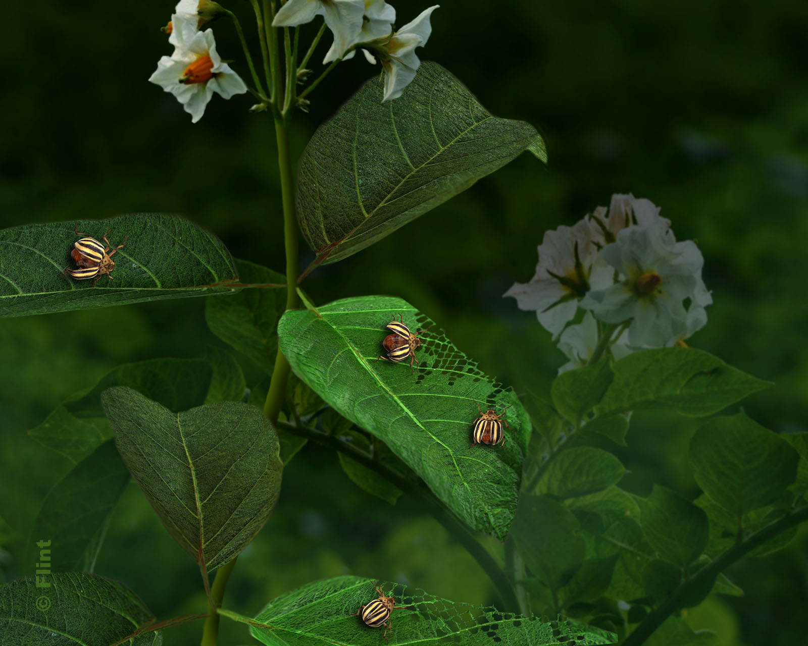 Its Hard To Eat Just One.jpg