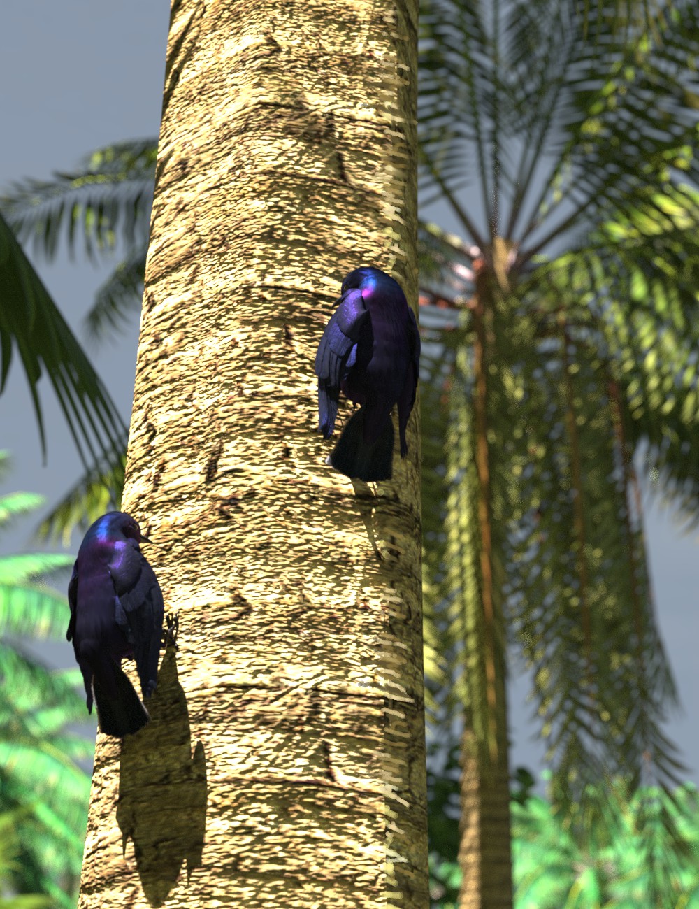 Jamacian Blackbirds.jpg