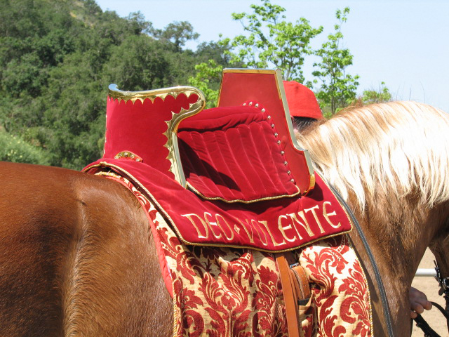 jousting saddle-rene_saddle04.jpg