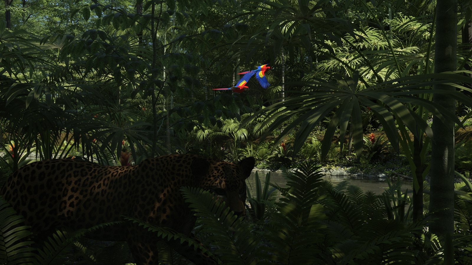 Jungle Picture.jpg
