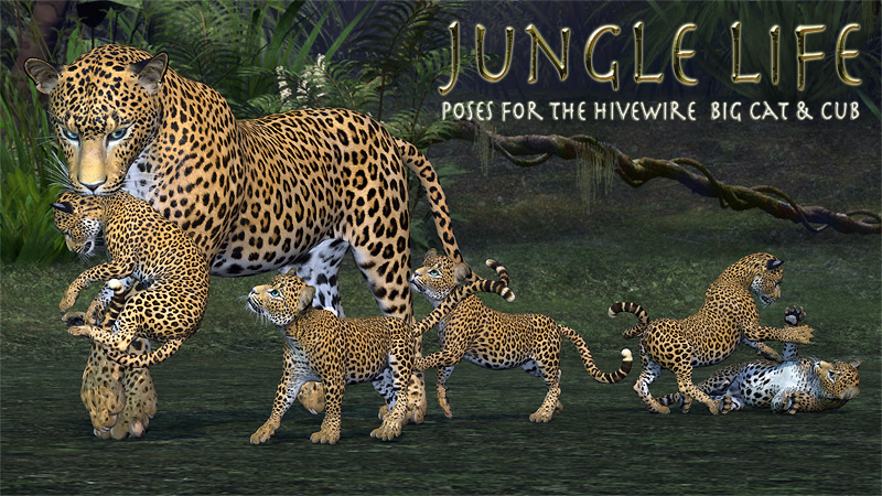 JungleLife-Main-Promo.jpg