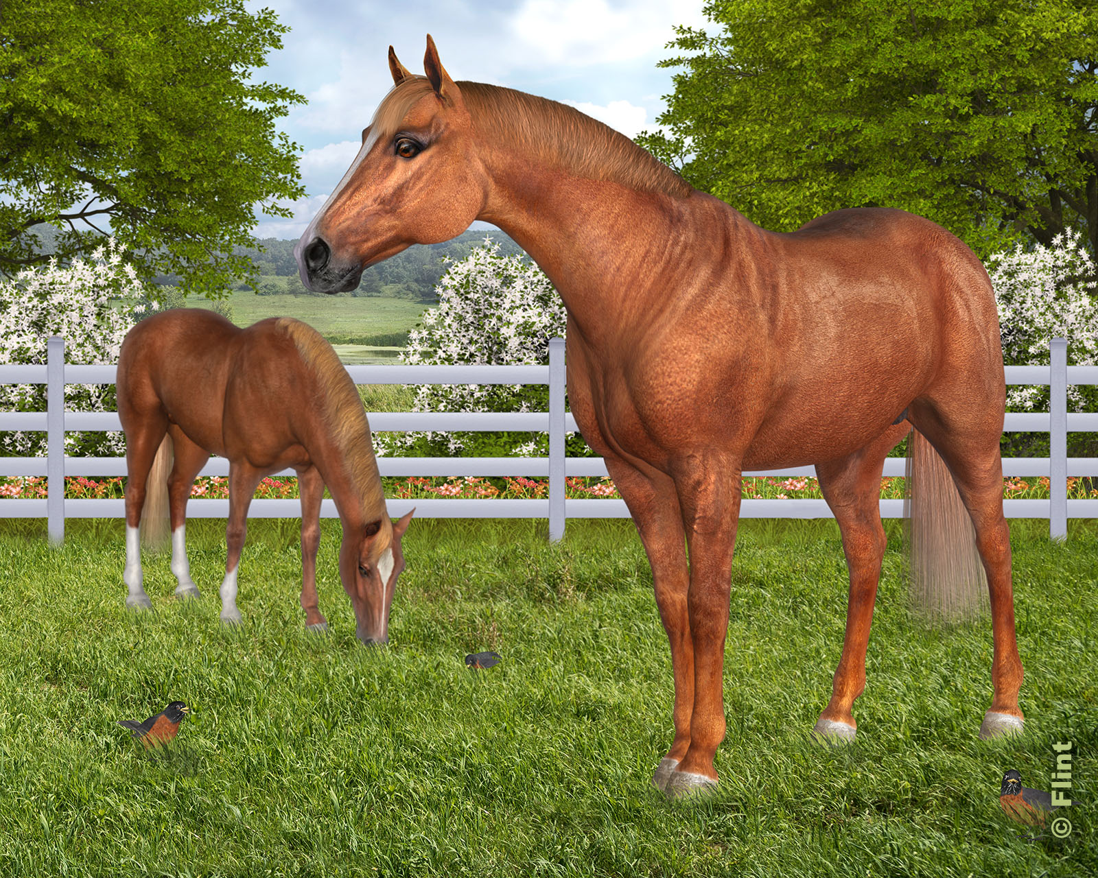 Share your HiveWire Horse Renders Here! Page 179 HiveWire 3D Community